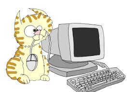 Cat and Mouse